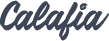 Demo Logo